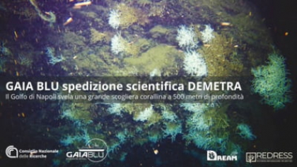 Descoperire uluitoare în Marea Mediterană, în apele din largul orașului Napoli, făcută cu ajutorul unui submarin operat de la distanță