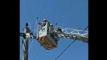 Operațiune de salvare contracronometru în Giurgiu. O barză și-a prins picioarele într-un cablu de înaltă tensiune | VIDEO