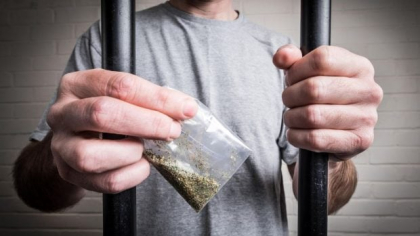 Instanța confirmă: cannabisul este permis acum și în închisoare