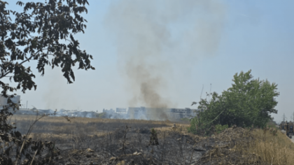 Incendiu de vegetație și pădure în satul Casian din județul Constanța