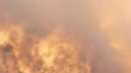 Stare de urgență în Israel. Incendiile de vegetație fac prăpăd