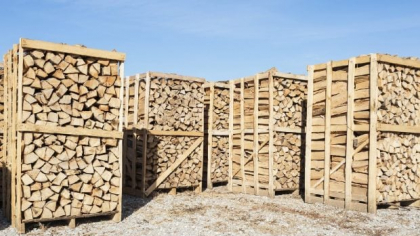 Lemne de foc mai scumpe în toată țara: cât plătesc românii pe metrul cub în 2025