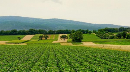 Agricultura inteligentă - soluția optimă pentru sustenabilitate și profitabilitate