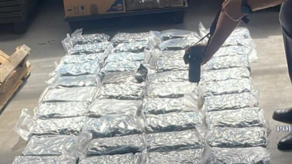 Trei bărbaţi au fost reținuți după ce au introdus în România, prin curier, aproape 50 de kilograme de canabis din Spania