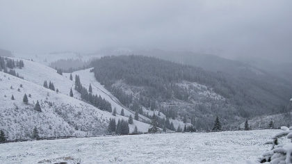 România, acaparată de ninsori. Un val de aer polar face ravagii în țară. ANM a emis Cod galben (FOTO)