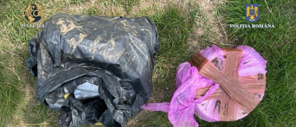Droguri de aproape două milioane de euro, găsite la Oradea. Șapte traficanți au fost reținuți