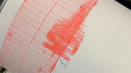 Cutremur cu magnitudinea 3,6 în Vrancea