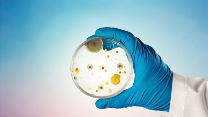 Superbacteriile ar putea provoca milioane de decese și pierderi economice de aproape 2.000 de miliarde de dolari anual