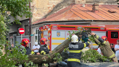 Dezastru după furtuna din București: Acoperișuri smulse, copaci căzuți pe mașini. O femeie de 49 de ani a murit în Otopeni