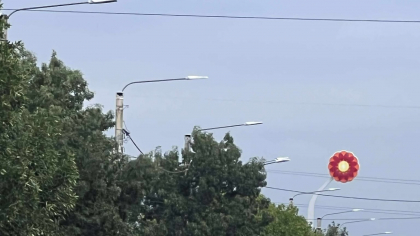 Măsuri speciale după măcelul din stradă