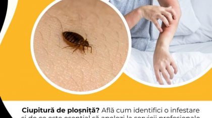 Ciupitură de ploșniță? Află cum identifici o infestare și de ce este esențial să apelezi la servicii profesionale de dezinsecție