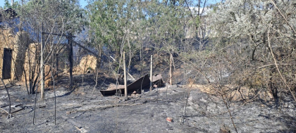 Incendiu puternic de vegetație uscată în județul Dolj. Traficul pe DN 56, zona Maglavit – Moţăţei Gară, este blocat