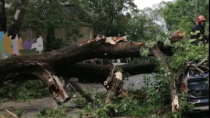 Mare parte din țară, sub alerte de vreme severă. Două zile cu ploi torențiale, vijelii și grindină HARTĂ