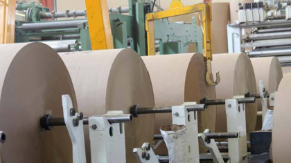 Vrancart Adjud, acolo unde au investit şi fraţii Pavăl de la Dedeman, raportează venituri de 118 mil. lei în T1/2025 şi pierderi de 1,2 mil. lei