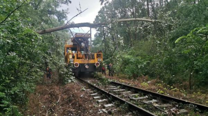 Furtuni în România: Trenurile au întârziat ore în șir după ce crengile au căzut pe cablurile electrice