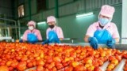 Italia va elibera aproape 500.000 de vize de muncă pentru cetățenii non-UE. Avertismentul sindicatelor