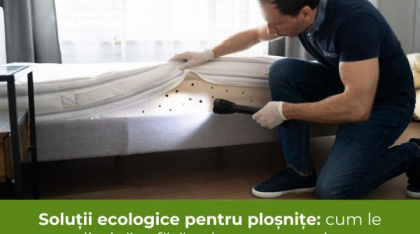 Soluții ecologice pentru ploșnițe: cum le eliminăm fără substanțe agresive