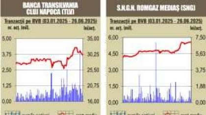 BVB Deprecieri pentru majoritatea indicilor