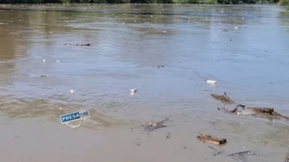 Someșul, transformat în râu de gunoaie: deșeuri purtate de curenți ajung spre Ungaria | VIDEO