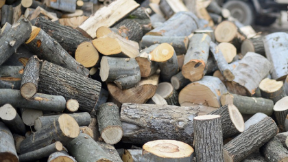 Afacerile producătorului de scule pentru prelucrarea lemnului Technowood, controlat de antreprenorii braşoveni Csaba Csomos şi Ferenc Dumitraşcu, au crescut cu 8% în 2024, ajungând la 6,8 milioane de lei