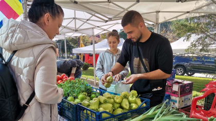 Ultima mare ocazie de profit pentru fermieri. Consumatorii, surprinși de abundența de la Ziua Recoltei. „Uite, pepeni ca vara” | REPORTAJ