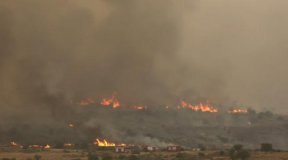 Incendii devastatoare în Israel care amenință Ierusalimul. România, Spania și alte state europene trimit ajutoare