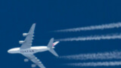 Un medic vegetarian a murit după ce s-a înecat cu carne oferită la bordul unui zbor Qatar Airways