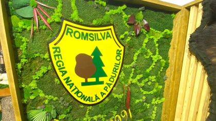 Directorul Romsilva apără salariile mari ale angajaților săi: Au fost acordate pe merit