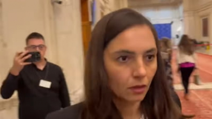 Anamaria Gavrilă, ameninţări la adresa jurnaliştilor în Parlament: „Sunteţi pe cale de dispariţie!” VIDEO