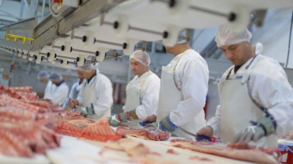 România angajează muncitori străini pentru că ai noștri nu vor să muncească cu forme legale. Deficitul de forță de muncă este de peste 600.000