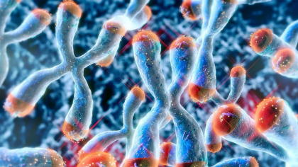 Elixirul tinereții dovedit științific: Omega 3 + Vitamina D3. Încetinește îmbătrânirea cu 3 ani și te apără de cancer și boli autoimune