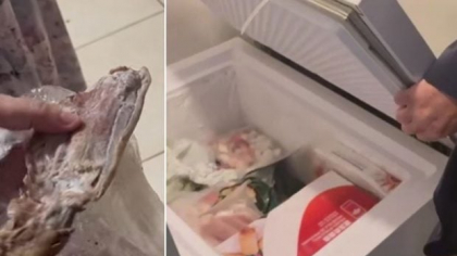 Gândaci, mâncare expirată și mizerie într-un depozit al unui restaurant chinezesc din București, în care comisarii ANPC n-au fost lăsați să intre acum câteva zile | VIDEO