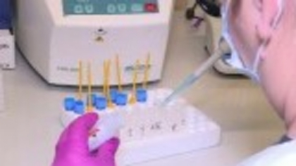 Vitamina obligatorie tot timpul anului, pentru un organism sănătos