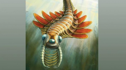 Paleontologii au descoperit fosila unui mic prădător cu trei ochi, care a trăit în urmă cu peste 500 de milioane de ani