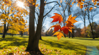 Temperaturi mai mari decât cele normale până la mijlocul lui septembrie