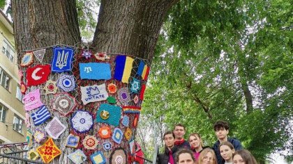 Copacul hippy din Tulcea: motivul pentru care un ulm de 150 de ani a fost „îmbrăcat” în mileuri croşetate