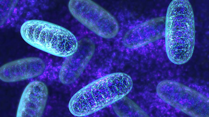 Studiu: Microbii intestinali pot elimina „substanțele chimice eterne” din organism