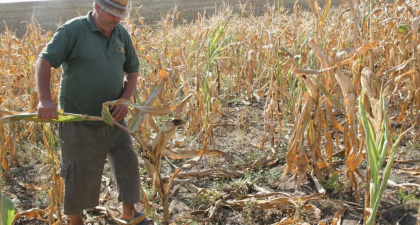 PSD solicită o poziţie unitară a României pentru apărarea agriculturii naţionale: ”Hrana şi securitatea alimentară nu pot fi condiţionate!”