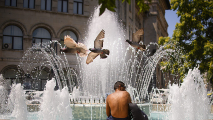 Caniculă în toată țara. 15 județe și Capitala, sub Cod roșu. Temperaturile urcă până la 41 de grade