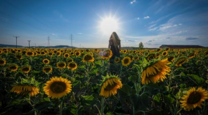 Prognoza meteo pentru următoarele patru săptămâni. ANM anunță temperaturi ridicate în aproape toată țara, în iunie