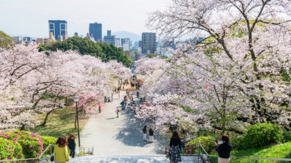 Reguli nescrise pentru turiștii care vizitează Japonia. Au transformat țara într-un loc pe care toți îl invidiază! Ce trebuie să faci obligatoriu când ești la masă sau în lift