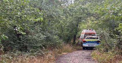 Descoperire șocantă la marginea Timișoarei. Un afacerist a fost găsit mort în pădure