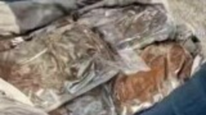 Trei bărbaţi au introdus în România zeci de kilograme de canabis printr-o firmă de curierat. Cum ascundeau mirosul de droguri