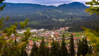 Singura stațiune din România cu o cascadă naturală chiar în centrul orașului. A fost numită „regina apelor minerale”
