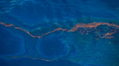 Bombă ecologică în Marea Baltică: 1,6 milioane de tone de muniție și arme chimice ruginesc în adâncuri. Peștii au fost deja contaminați