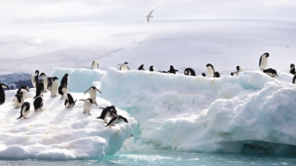 Cutremur în comunitatea științifică: un fenomen observat în Antarctica pare să demonstreze că încălzirea globală este doar o farsă