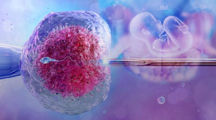 Fertilizare in vitro: Reguli noi pentru românii care vor sprijin financiar de la stat ca să devină părinți