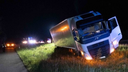 Șofer român de TIR scos de pe șosea de o turmă de căprioare, în Germania