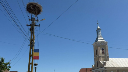 Simbol național batjocorit la Maramureș: tricolor din tablă zincată, murdar cu găinaț, la 71 de euro bucata