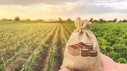 România a primit 50 mld. euro de la Bruxelles pentru agricultură din 2007 încoace, dar a „hrănit“ un deficit de 33 mld. euro în acelaşi timp. Ce finanţăm în realitate?